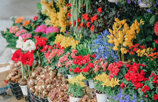 Florist Downers Grove