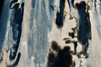 black mold removal greenville