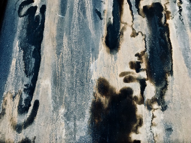 black mold removal greenville