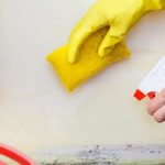 Mold removal