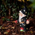 magical mushrooms near me