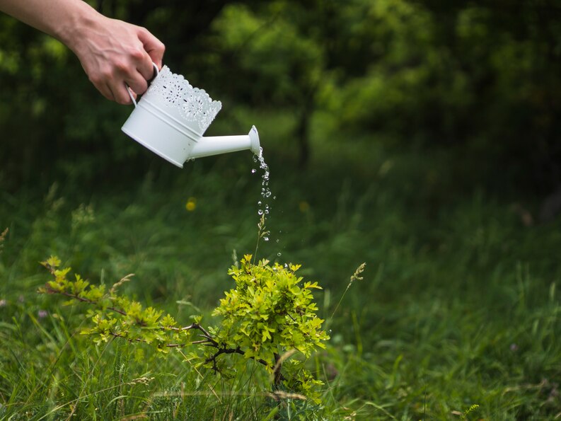 metal watering can