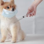 pet vaccines near me