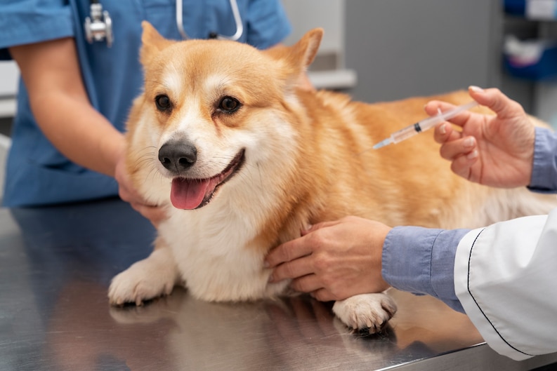 pet vaccines near me