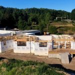 Joseph Wortman Detroit