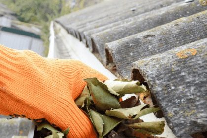 Gutter cleaning near me