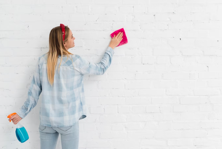 dry erase paint for walls