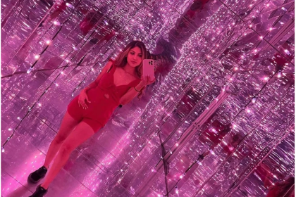 Houston TX art museums