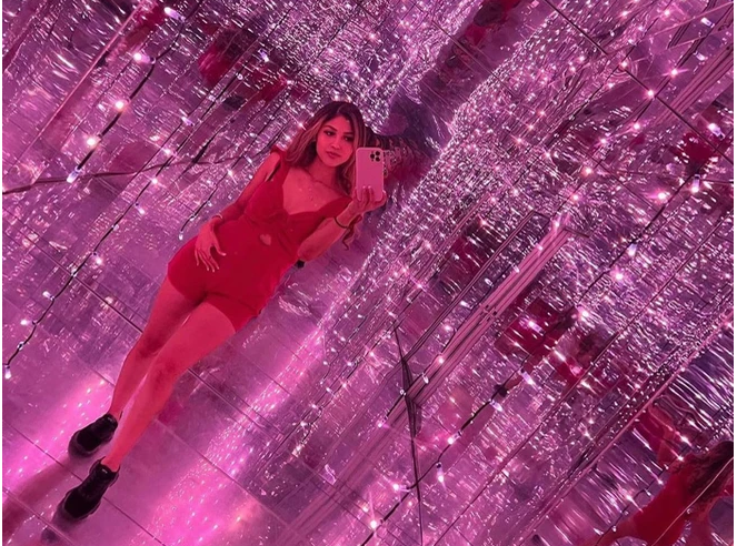 Houston TX art museums