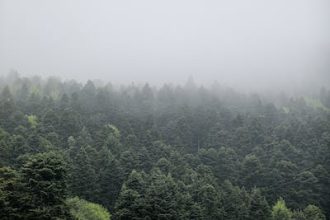 houses for sale rockport tx