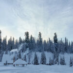 valdez heli ski guides