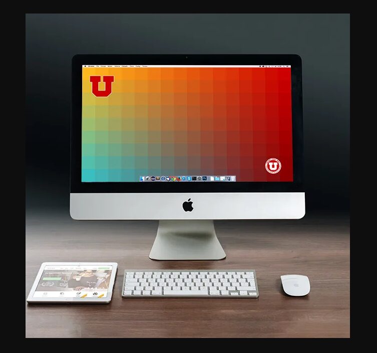 branding and design services