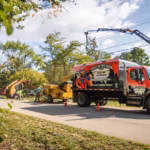 Tree trimming