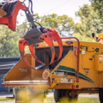 tree removal services