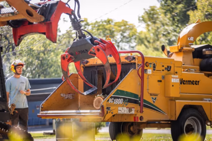 tree removal services