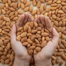 clean label food ingredients
